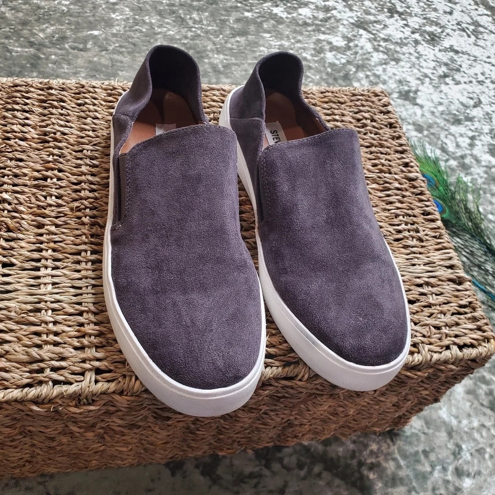 Steve Madden Fayna‎ Sneakers